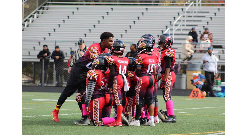 terps